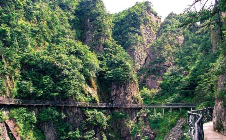 牛油果面包
