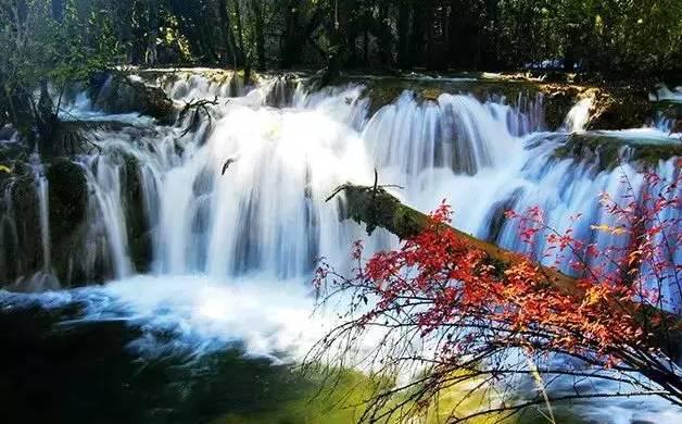 豪华水疗中心