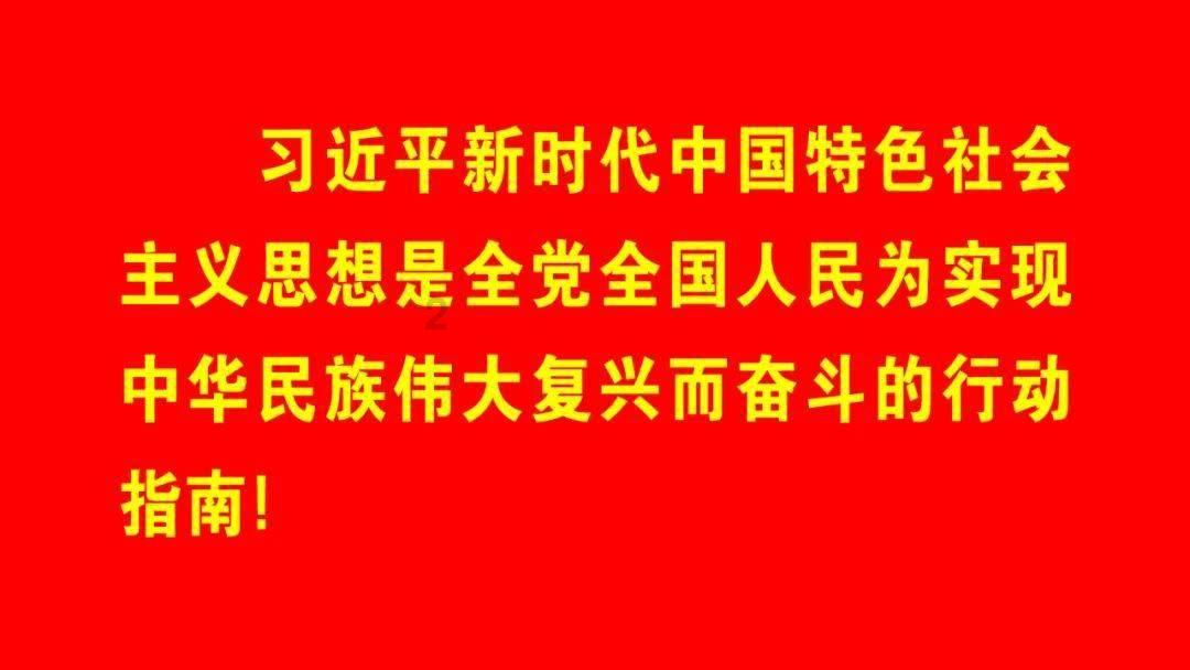 营救小猫头鹰